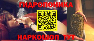 бошки Дубна
