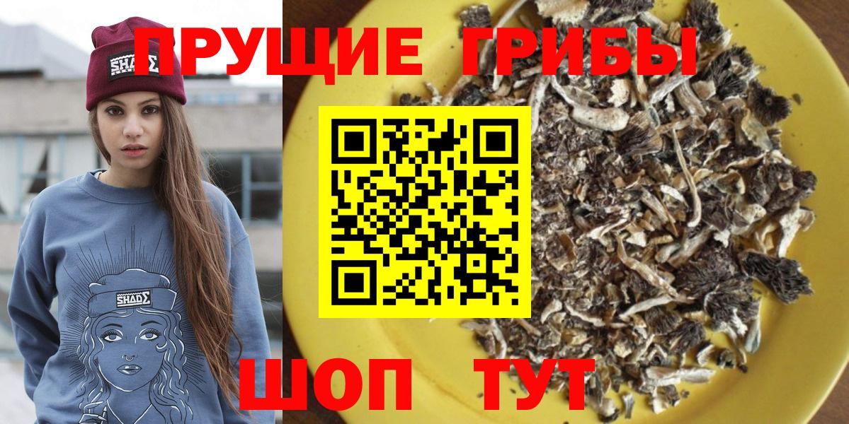 Псилоцибиновые грибы мицелий Малгобек