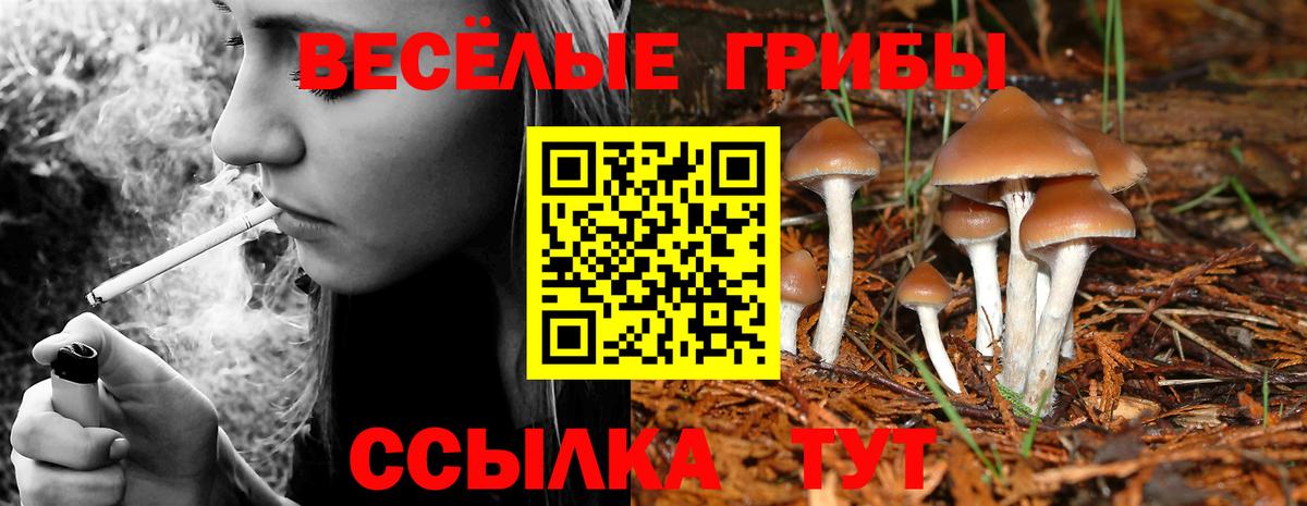 Галлюциногенные грибы прущие грибы  Вход с VPN  Галлюциногенные грибы мухоморы  Малгобек 